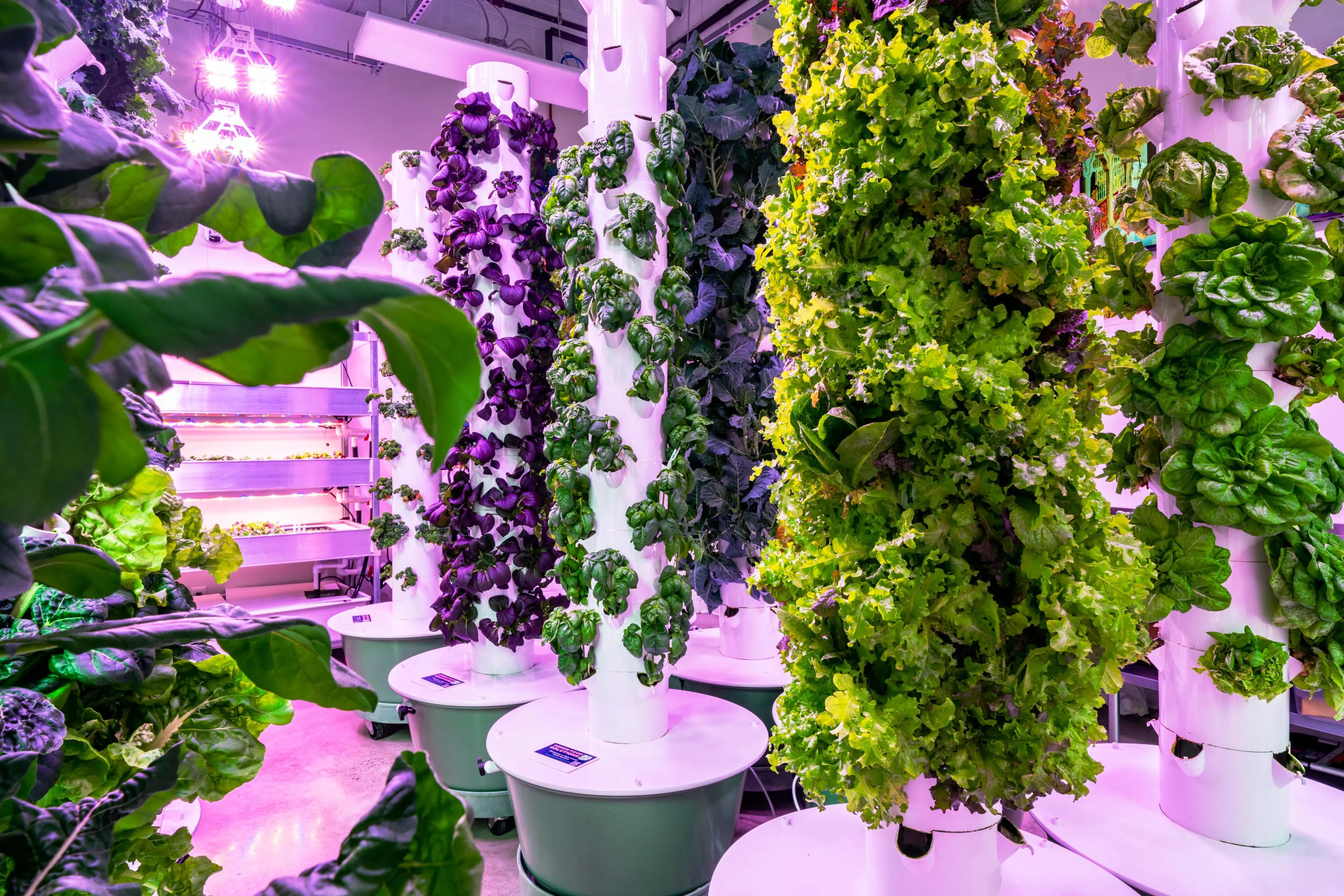 BLVD 401 HYDROPONIC FARM