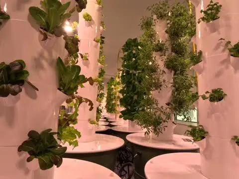 Instagram post image