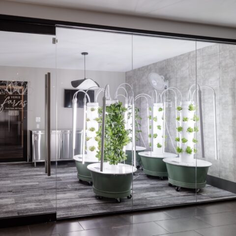 Instagram post image